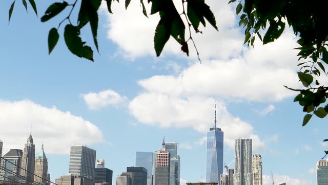 Close up Overhead Leaves pans down to the East River and the Downtown Manhattan Skyline