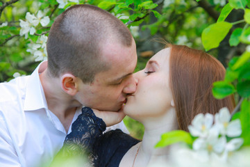 Obraz premium Young couple in fruit orchard apple garden with blossom branches walking together and have a date