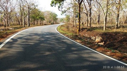 road in the forest