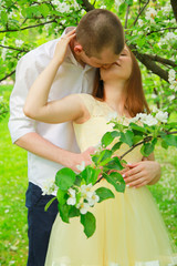 Fototapeta premium The bride and groom are walking in the apple orchard, posing under the branches of an apple-tree.