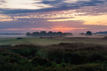 Dolina Górnej Narwi, Poranne mgły nad rzeką, Narew, Podlasie, Polska