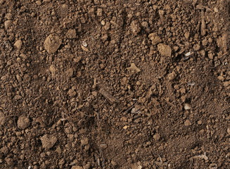 Dirt background and texture, top view