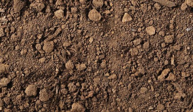 Dirt background and texture, top view