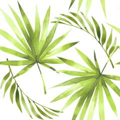 Feuilles de palmier vert tropical d& 39 été floral, fond blanc de modèle sans couture de noix de coco. Imprimés exotiques pour papier peint, motif textile de style jungle Hawaii aloha. Illustration à l& 39 aquarelle.