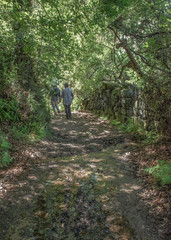 Two People Hiking In Portugal, Wet Shaded Path