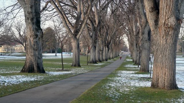 Riding bicycle through an alley of old American elm trees with distant people walking - historic Oval at Colorado State University in Fort Collins, late fall scenery