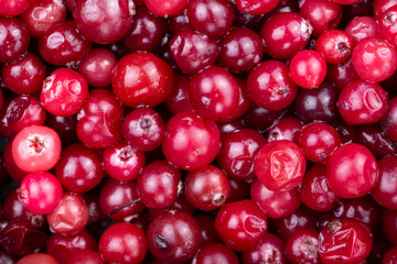 raw cranberries scattered as a background