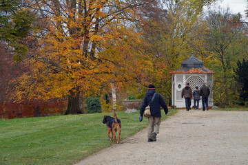 Fototapeta premium herbst im schlosspark worms-herrnsheim
