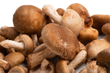Shiitake mushrooms