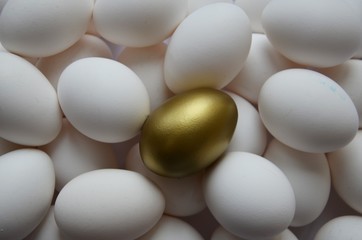 A Golden egg lies against a background of white eggs.