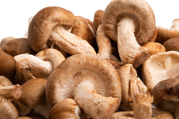 Shiitake mushrooms