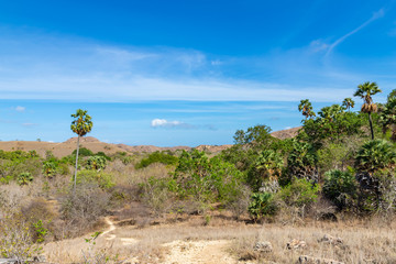 Landscape on Rinca Island in Komodo National Park, Indonesia