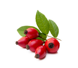 Ripe rose hip isolated on white background