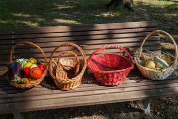 Pumpkin in the basket