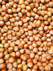 pile of hazelnuts