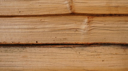 Fototapeta premium swieta