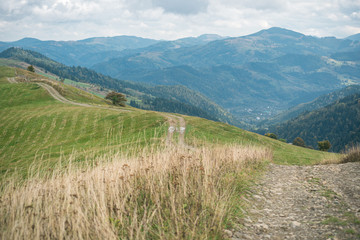 Mountain road among meadows