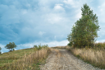 Mountain road among meadows