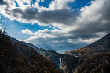 Fototapeta premium 秋