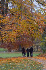 herbst im schlosspark worms-herrnsheim