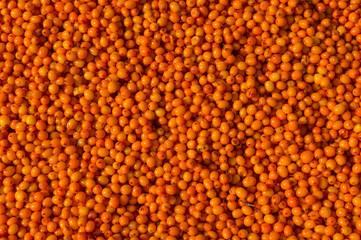 Autumn Color Pumpkins im Whole Foods Market.  Raw vegetables and fruits background. Healthy organic food concept