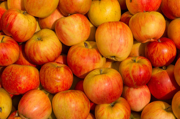 Autumn Color Pumpkins im Whole Foods Market.  Raw vegetables and fruits background. Healthy organic food concept
