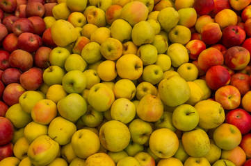 Autumn Color Pumpkins im Whole Foods Market.  Raw vegetables and fruits background. Healthy organic food concept