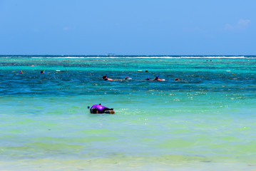 Fototapeta na wymiar Snorkeling people on the caribbean beach