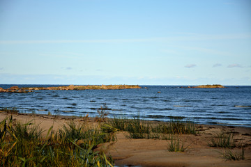 Fototapeta na wymiar The wild shore of the Baltic Sea in Estonia