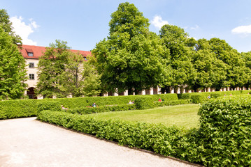 trees and bushes in the park