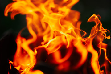 fire flames. blurred background image.