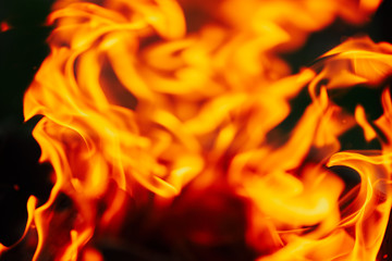 fire flames. blurred background image.