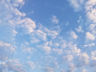 Beautiful cumulus cirrus clouds in the blue sky. Cumulus clouds are puffy clouds that sometimes look like pieces of floating cotton.