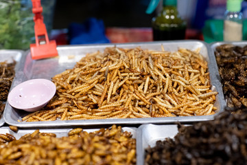 Assorted fried insects Street food of Thailand.
