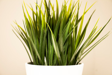 artificial grass in a white pot