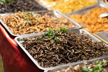 Assorted fried insects Street food of Thailand.