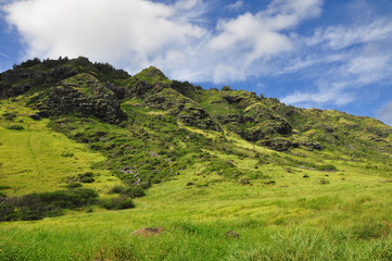 Fototapeta premium Mokuleia Beach Park, Kaena Point at the North Shore on Oahu Island, Hawaii, United States.