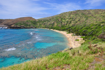 Obraz premium Snorkelling at the coral reef of Hanauma Bay, a former volcanic crater, now a national reserve near Honolulu, Oahu, Hawaii, United States.