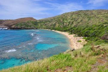 Foto op Plexiglas Snorkelling at the coral reef of Hanauma Bay, a former volcanic crater, now a national reserve near Honolulu, Oahu, Hawaii, United States. © No Drama Llama