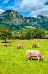 Fototapeta na wymiar Bavaria. Allgäu