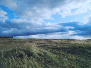 green field and blue sky