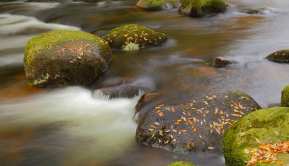 River Dart near Newbridge in autumn. Dartmoor National Park in Devon