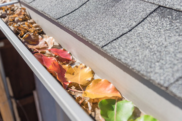 Shallow DOF colorful green, yellow, orange, red autumn leaves clogged house gutter near Dallas