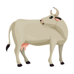 Cow of animal vector icon.Cartoon vector icon isolated on white background cow of animal.