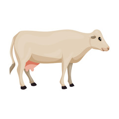 Fototapeta premium Cow of animal vector icon.Cartoon vector icon isolated on white background cow of animal.