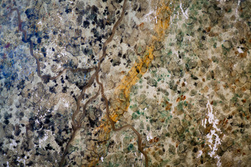 Store Wall Texture