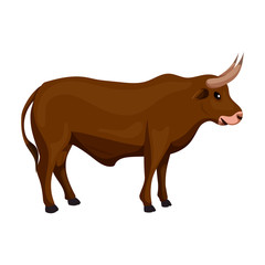 Bull vector icon.Cartoon vector icon isolated on white background bull.