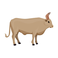 Bull vector icon.Cartoon vector icon isolated on white background bull.
