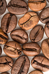 coffee beans isolated on white background