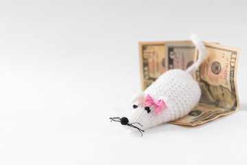white mouse on dollar bills